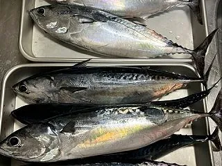 【画像】ワイもこの前行ってきたわ