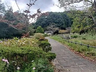 あと三か月で今年も終わるのか 光陰矢の如…