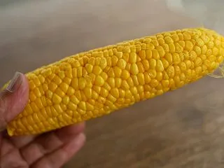北ツー9日足寄で千春！