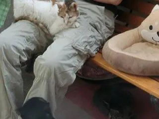 寛ぐめいちゃん
