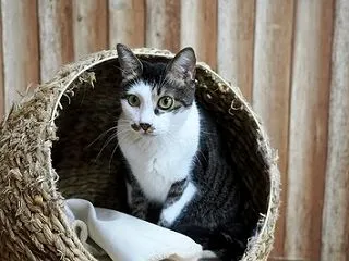 近況