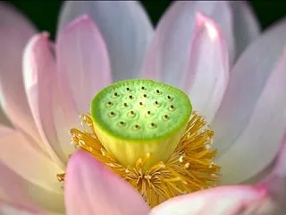 新鮮な気持ち