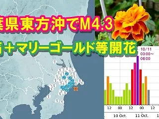 【地震前兆・情報】千葉県東方沖でM4.3…