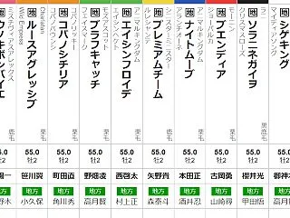 水曜川崎11R 鎌倉記念 予想