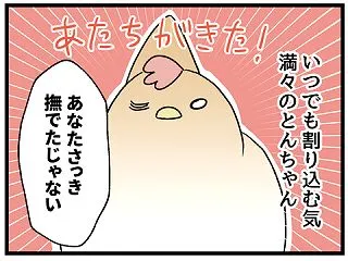 あの手この手で割り込むとんちゃん