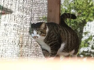 今日もだいちゃん♪