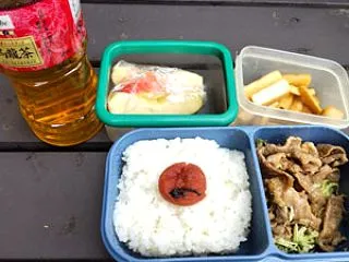 生姜焼き弁当