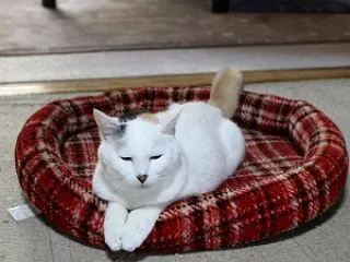 お行儀良く・・・