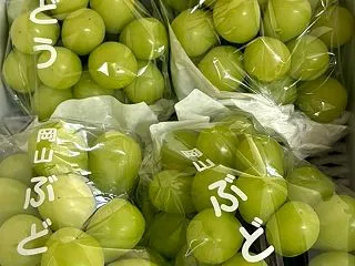 次男久しぶりのキッザニアを満喫！
