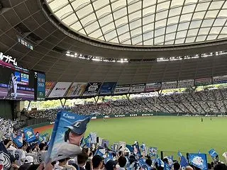 サインボール