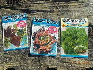 レタス・サラダミックス サニーレタス チ…