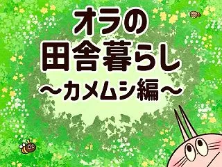 オラの田舎暮らし⑥