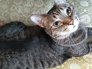 連休はあっという間に過ぎていく…