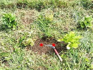 ちゃっちゃと...ニンニク用に準備