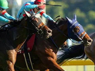 先週の結果 カネラフィーナ 東京 アイル…