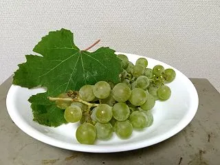 北見の気温2026/10/13