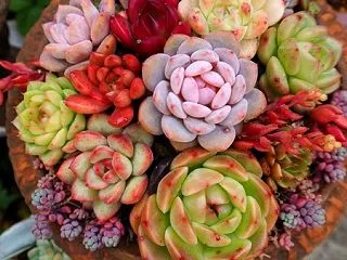 紅葉進む素敵な季節になって来ました～♪