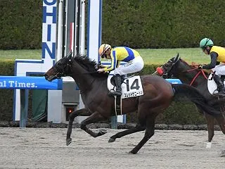 スレッドザニードル 4着 (第13戦・1…