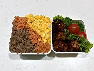 R8.10.13 三色そぼろ弁当