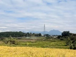 今日の道ばた＆備忘２件