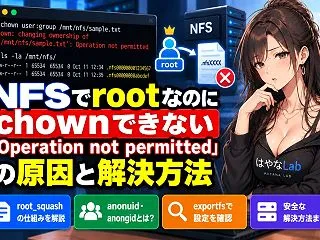 NFSでrootなのにchownできない…