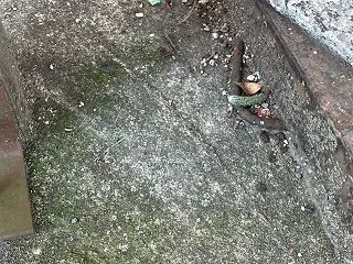 自分で見つけた好きな所に地に足つけていい…