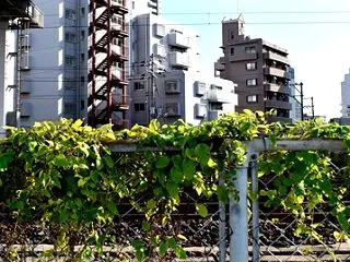 超常現象と自然の仕組み