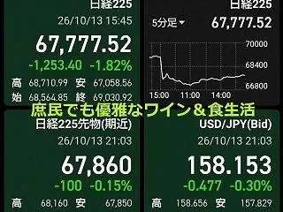 《 ☔ 日経平均株が続落でも、無風… 🎐…