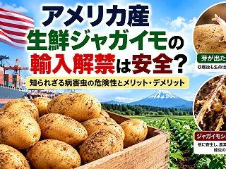 アメリカ産生鮮ジャガイモの輸入解禁は安全…