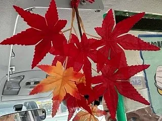 ひと足早く