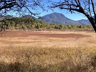 【旅行】奥日光ハイキング：戦場ヶ原と小田…