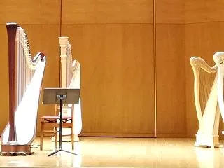 ハープの弦が切れて指をけが！ナイロン弦の…