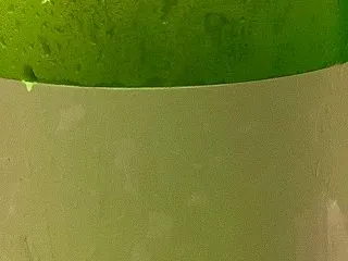 亀の海 純米吟醸 生
