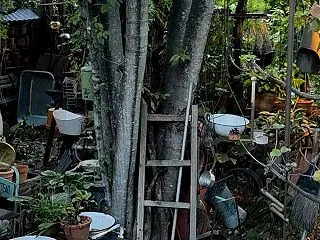 ガーデンライトがあると♪