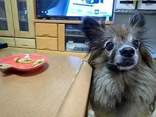待ってました ! Season4 ! !