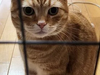 誕生日さの欠片もない