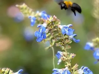 笑顔で痛いの飛んでいけー！
