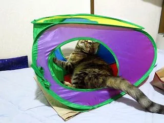 珍しくルーちゃんも！ (* ﾟωﾟ *)