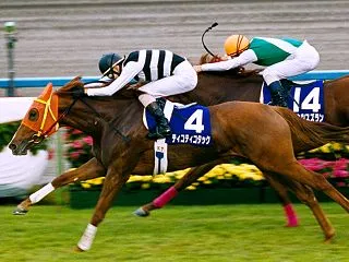 【秋華賞2026】データ展望・出走予定馬…