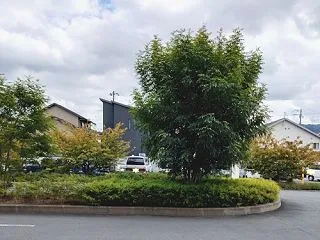 ◎手術・入院生活