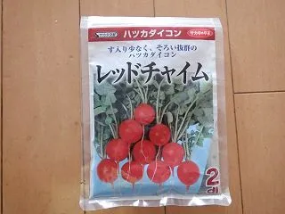 ラディッシュ３回目の種蒔きを行いました …