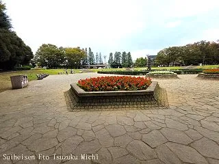 世田谷公園に花と風景の写真撮影に行って来…