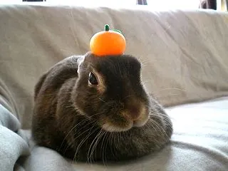 有難味