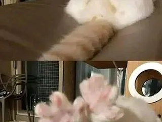 ぐー ぱー