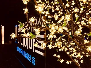 【韓国情報＊清州市】秋のイベント真っ只中