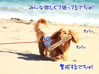 板は豪華海鮮の味とな？