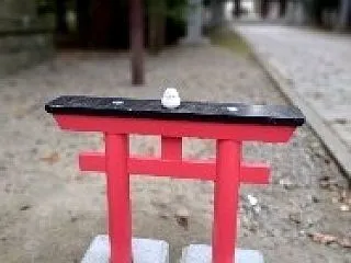 帯広神社へ♪