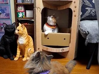 遊んでもダメ！