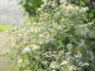 通路の脇には
