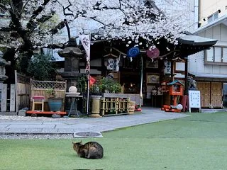 スーツケースvsバッグ SIMを注文